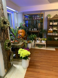 WhatsApp Image 2022-05-02 at 10.06.22.jpeg