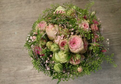 WhatsApp Image 2022-05-02 at 10.06.24.jpeg